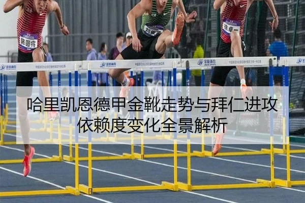 哈里凯恩德甲金靴走势与拜仁进攻依赖度变化全景解析 | leyu